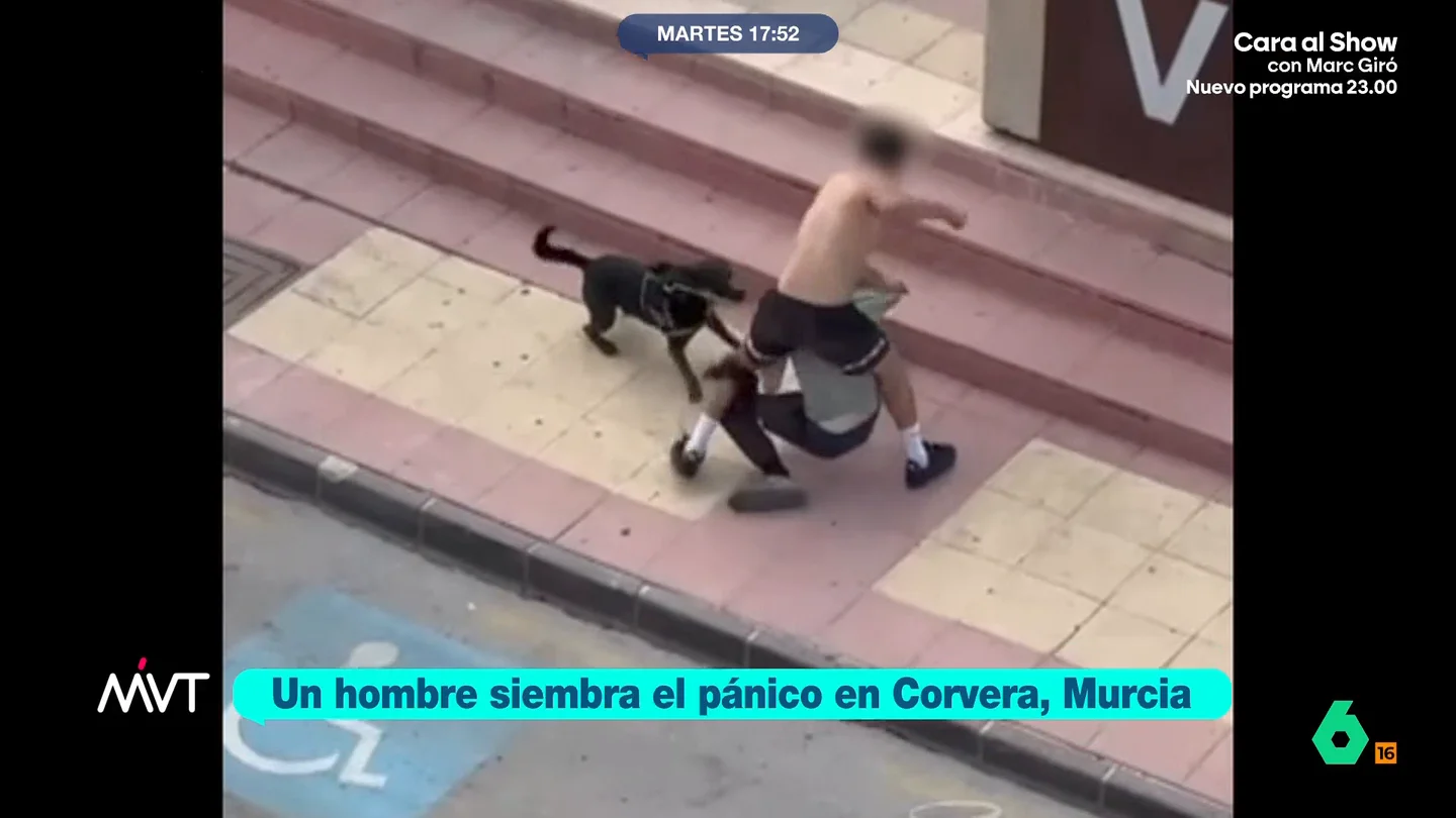 Un hombre agrede a otro tras haber sido mordido por su perro suceso corvera MVT