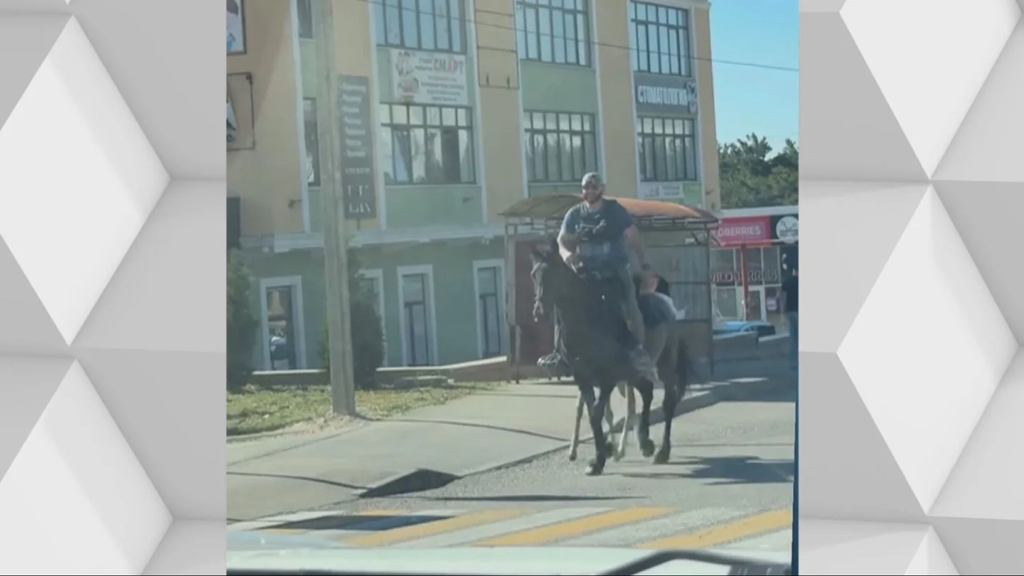 Cambiar el coche por el caballo: la solución en Crimea a la falta de combustible por los ataques ucranianos al petróleo ruso Cambiar el coche por el caballo: la solución en Crimea a la falta de combustible por los ataques ucranianos al petróleo ruso