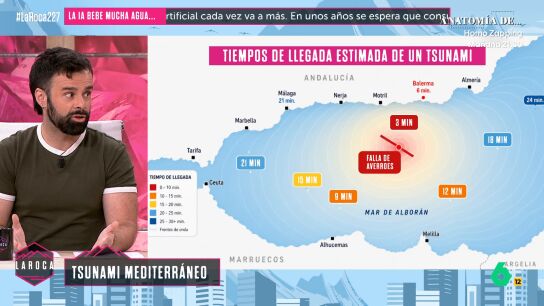 Ricardo Moure, sobre la advertencia de los cient&iacute;ficos de que hay un 100% de posibilidades de tsunami en el Mediterr&aacute;neo: "No ser&aacute; como en Jap&oacute;n o Sri Lanka"