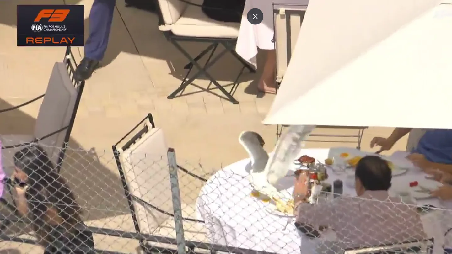 La curiosa escena en el GP de Mónaco: ¡Con una gaviota de protagonista! La curiosa escena en el GP de Mónaco: ¡Con una gaviota de protagonista!