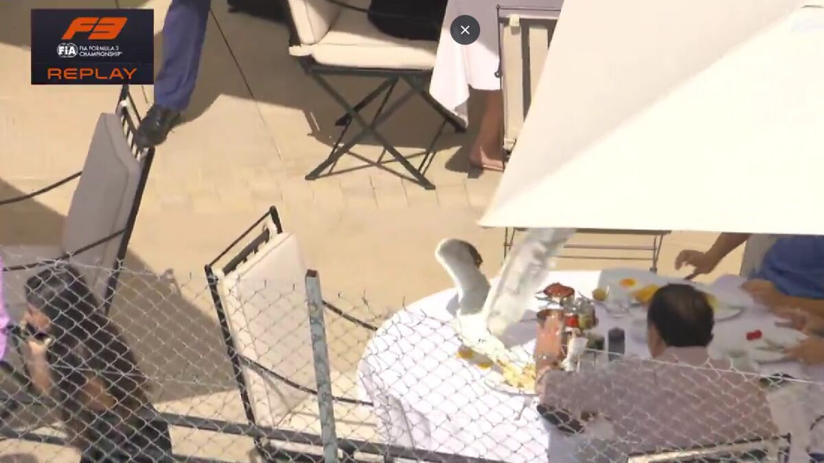 La curiosa escena en el GP de Mónaco: ¡Con una gaviota de protagonista!
