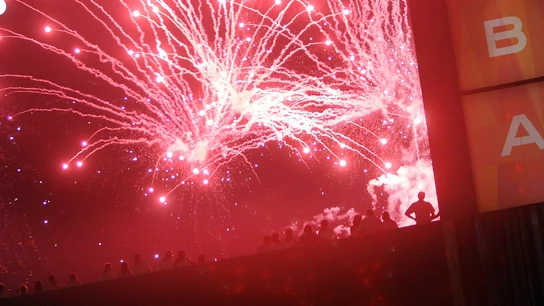 Fuegos artificiales Fuegos artificiales