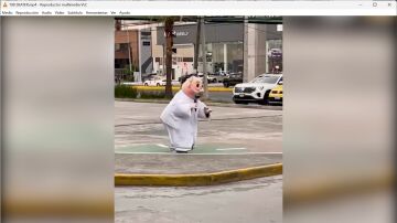 Skater