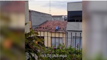 Tejas