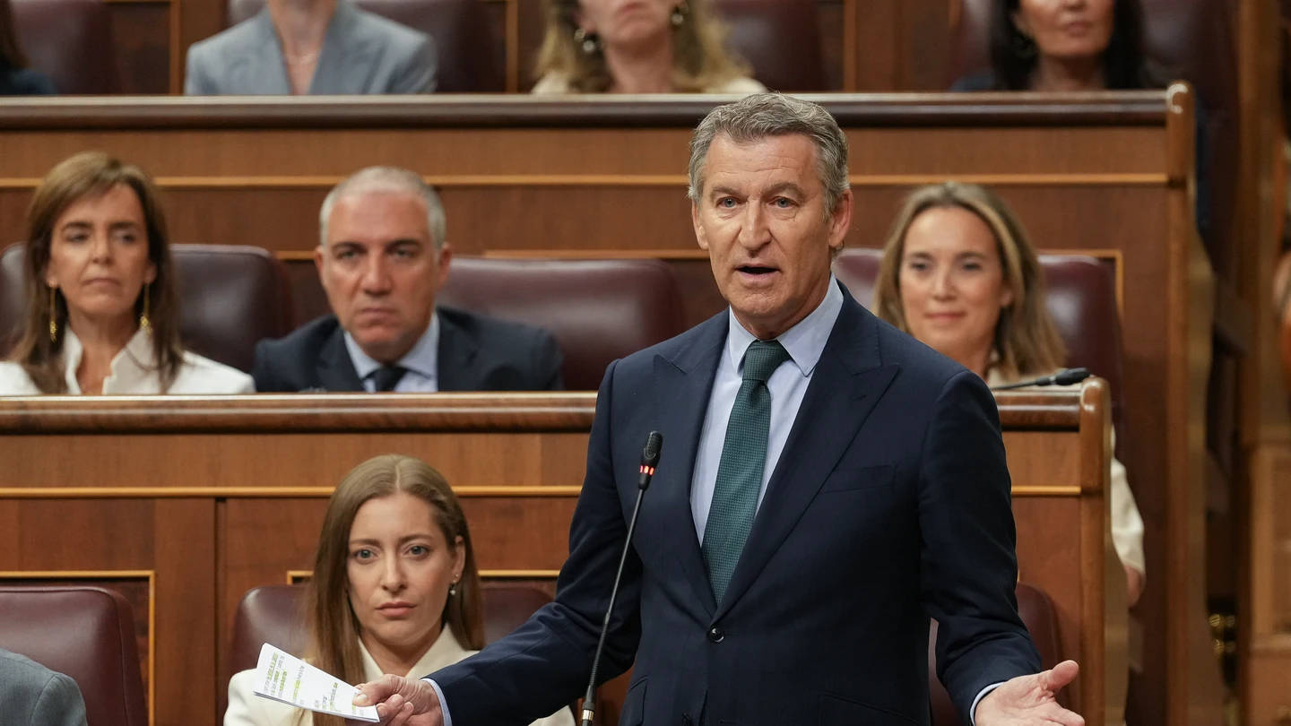El líder del PP, Alberto Núñez Feijóo, durante su intervención en la sesión de control al Ejecutivo El líder del PP, Alberto Núñez Feijóo, durante su intervención en la sesión de control al Ejecutivo