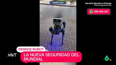 Durante el Mundial, los perros robot se han convertido en un activo m&aacute;s para las fuerzas que se ocupan de la seguridad del evento. Cuentan con un amplio equipamiento, incluidas c&aacute;maras, que han provocado una pol&eacute;mica en torno al reconocimiento facial.