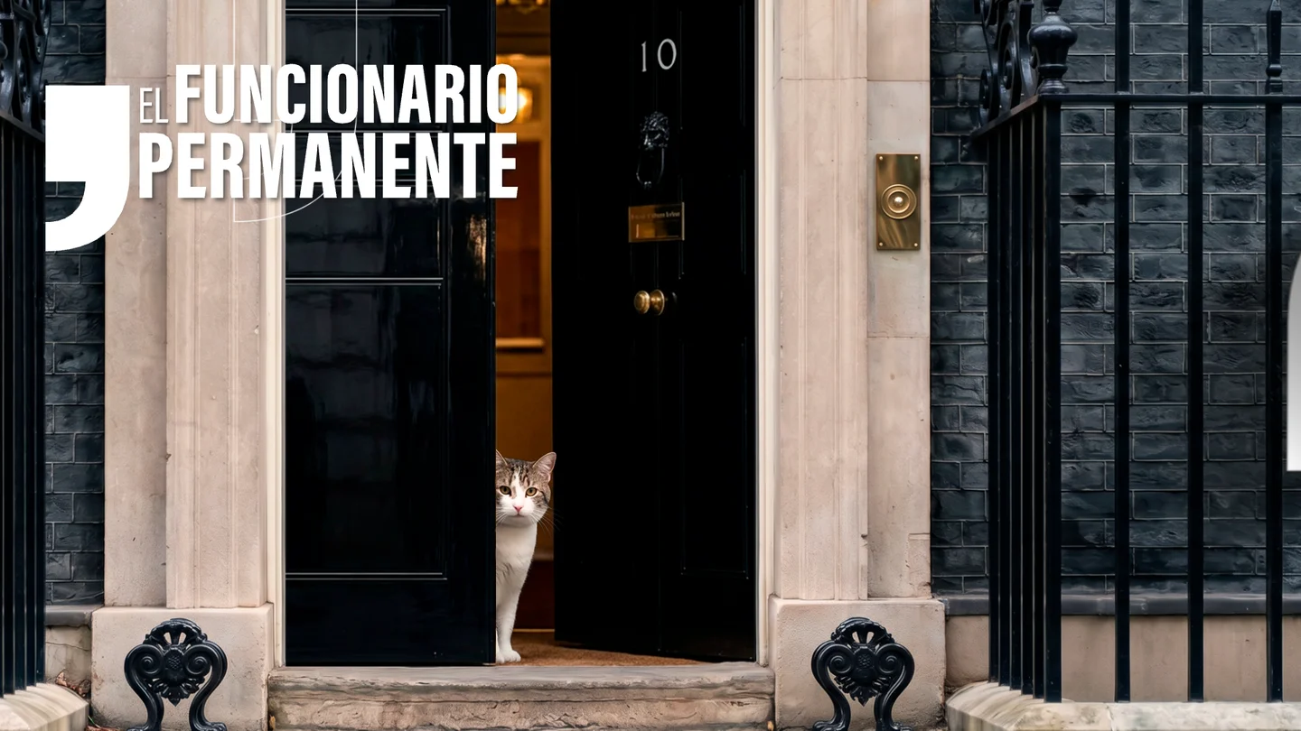 El funcionario permanente de Downing Street: el gato Larry lleva más tiempo que cualquier primer ministro de Reino Unido El funcionario permanente de Downing Street: el gato Larry lleva más tiempo que cualquier primer ministro de Reino Unido