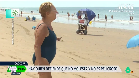 Una señora en Cádiz, en contra de que jueguen a la pelota en la playa: "Ya está el niño otra vez con la pelotita" 'Andalucía Directo' se ha trasladado hasta una playa gaditana para ver qué opina la gente de la prohibición de jugar a la pelota. Allí, han encontrado a una mujer a favor de esta medida.