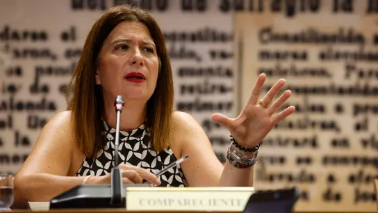 Leire Díez comparece en la comisión de investigación del caso Koldo en el Senado. Leire Díez comparece en la comisión de investigación del caso Koldo en el Senado.