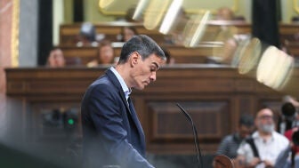 Pedro S&aacute;nchez durante una intervenci&oacute;n en el Congreso de los Diputados 