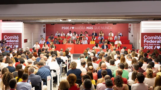 El presidente del Gobierno Pedro Sánchez, durante la reunión del Comité Federal del PSOE. El presidente del Gobierno Pedro Sánchez, durante la reunión del Comité Federal del PSOE.