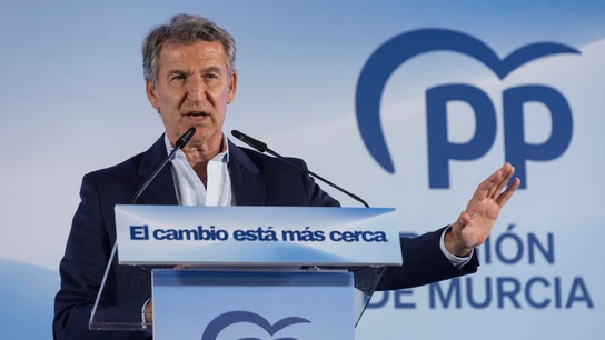 El líder del PP, Alberto Núñez Feijóo, durante un acto El líder del PP, Alberto Núñez Feijóo, durante un acto
