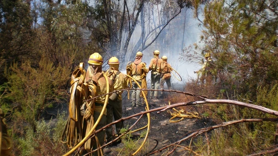 Agentes del plan INFOCA de Andalucía en tareas de extinción de un incendio Agentes del plan INFOCA de Andalucía en tareas de extinción de un incendio