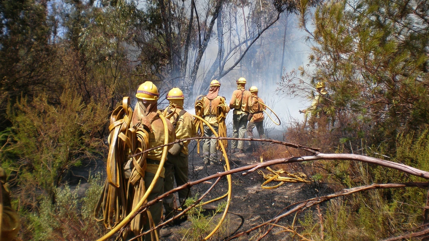 Agentes del plan INFOCA de Andalucía en tareas de extinción de un incendio Agentes del plan INFOCA de Andalucía en tareas de extinción de un incendio