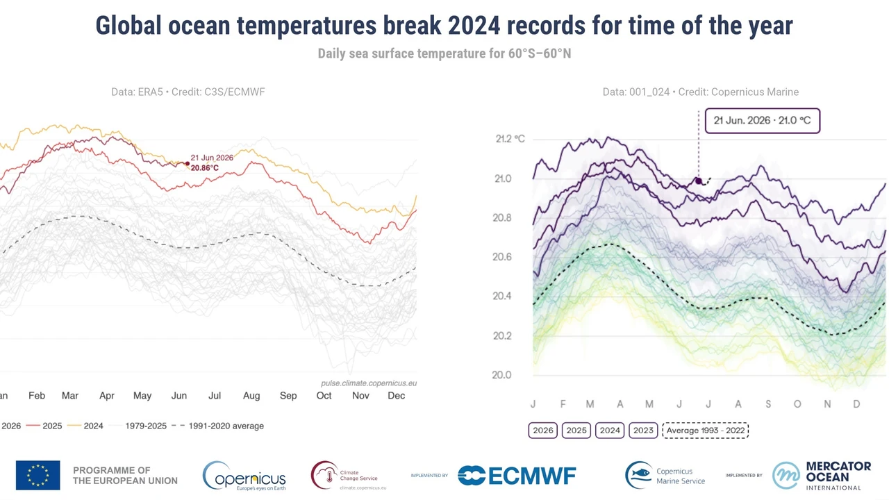 Las temperaturas diarias de la superficie del mar a nivel mundial baten récords para la época del año