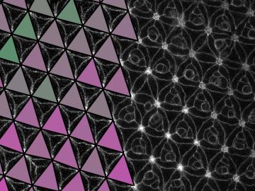 Descubren un metamaterial programable en el ojo de una mosca del vinagre