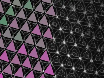 Descubren un metamaterial programable en el ojo de una mosca del vinagre Descubren un metamaterial programable en el ojo de una mosca del vinagre