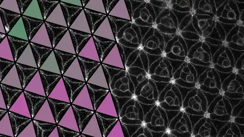 Descubren un metamaterial programable en el ojo de una mosca del vinagre Descubren un metamaterial programable en el ojo de una mosca del vinagre
