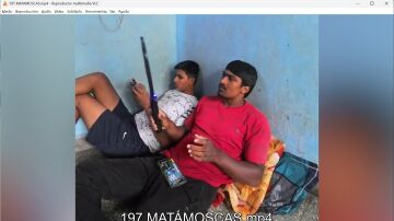 MATAMOSCAS
