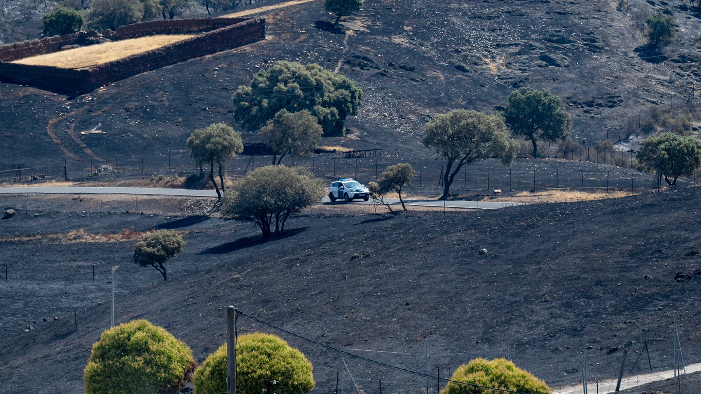 El incendio forestal declarado en la pedanía de Huertezuelas, en el término municipal de Calzada de Calatrava (Ciudad Real) El incendio forestal declarado en la pedanía de Huertezuelas, en el término municipal de Calzada de Calatrava (Ciudad Real)