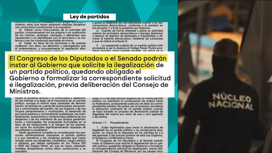 El partido del grupo neonazi Núcleo Nacional es legal solo de momento: la ley electoral podría impedir su presentación El partido del grupo neonazi Núcleo Nacional es legal solo de momento: la ley electoral podría impedir su presentación