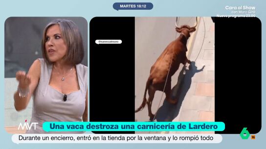 La abogada expresa su enfado despu&eacute;s de conocer el suceso ocurrido en Lardero, La Rioja, donde una vaca ha terminado en el interior de la carnicer&iacute;a durante los encierros del municipio. 