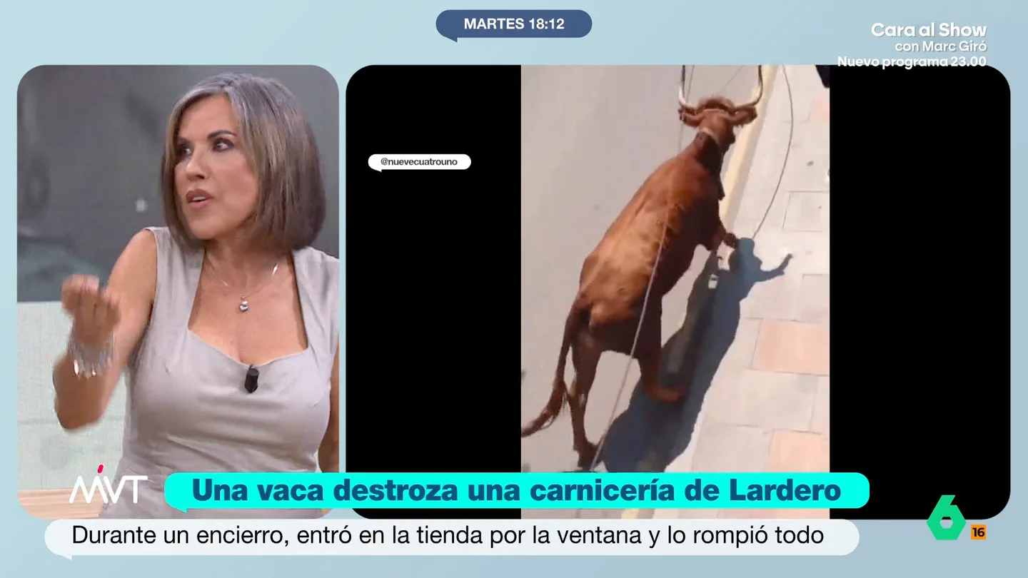 Beatriz de Vicente, indignada con las fiestas que usan animales: "Vamos a evolucionar, estamos en la Edad Media" La abogada expresa su enfado después de conocer el suceso ocurrido en Lardero, La Rioja, donde una vaca ha terminado en el interior de la carnicería durante los encierros del municipio.