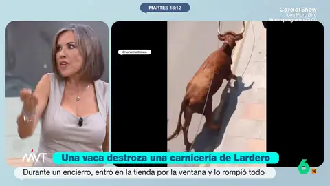 Beatriz de Vicente, indignada con las fiestas que usan animales: "Vamos a evolucionar, estamos en la Edad Media" La abogada expresa su enfado después de conocer el suceso ocurrido en Lardero, La Rioja, donde una vaca ha terminado en el interior de la carnicería durante los encierros del municipio.