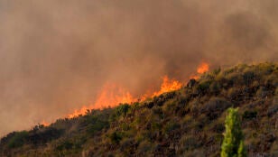 El incendio forestal declarado este jueves entre Estepona y Benahav&iacute;s (M&aacute;laga).
