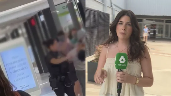 Robo con violencia en un centro comercial de Torrejón de Ardoz Robo con violencia en un centro comercial de Torrejón de Ardoz
