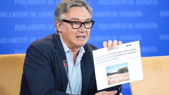 El portavoz del Grupo Parlamentario VOX, Manuel Gavira.