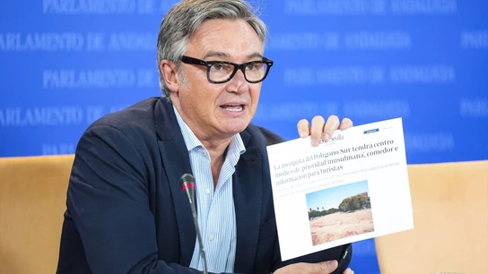 El portavoz del Grupo Parlamentario VOX, Manuel Gavira. El portavoz del Grupo Parlamentario VOX, Manuel Gavira.