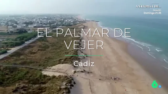 Un vecino de Vejer, sobre la masificación turística en El Palmar: "No hay alcantarillado. No hay agua ni luz..." Un vecino de Vejer, sobre la masificación turística en El Palmar: "No hay alcantarillado. No hay agua ni luz..."
