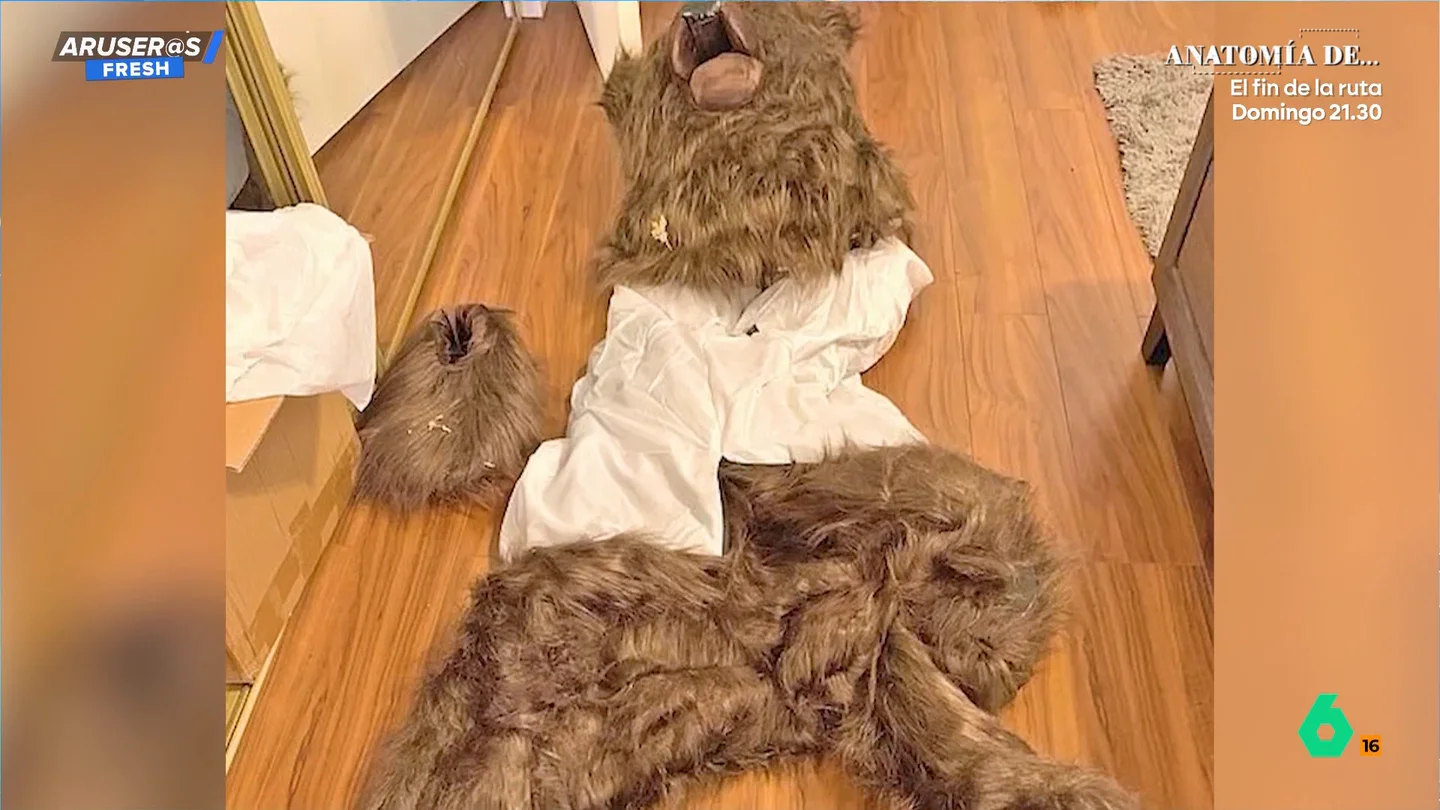 El surrealista vídeo viral de tres hombres que se disfrazan de oso para estafar al seguro y acaban pillados El surrealista vídeo viral de tres hombres que se disfrazan de oso para estafar al seguro y acaban pillados