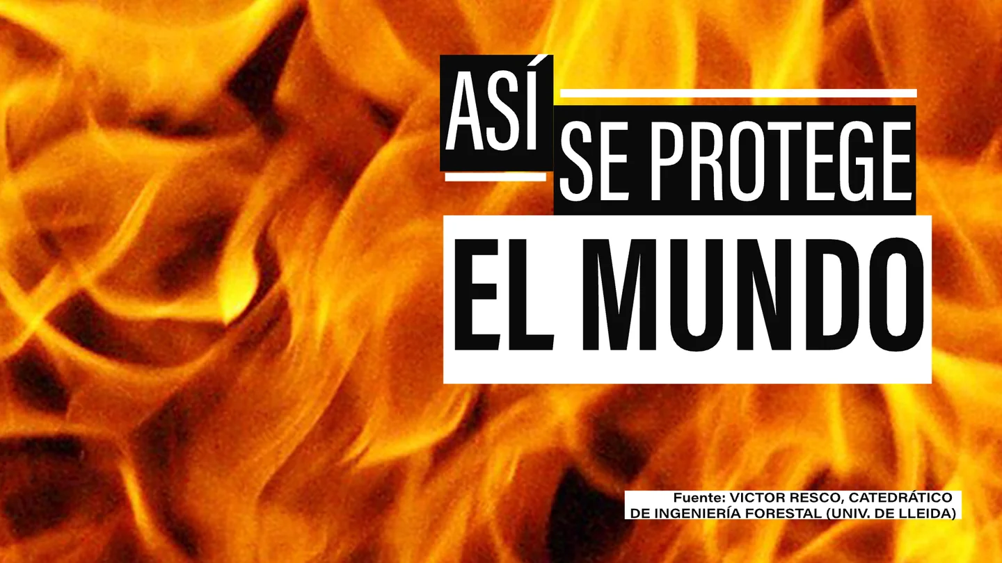 Recuperar el paisaje mosaico o hidratar la vegetación cerca de los pueblos: las mejores técnicas para evitar los peores incendios Recuperar el paisaje mosaico o hidratar la vegetación cerca de los pueblos: las mejores técnicas para evitar los peores incendios