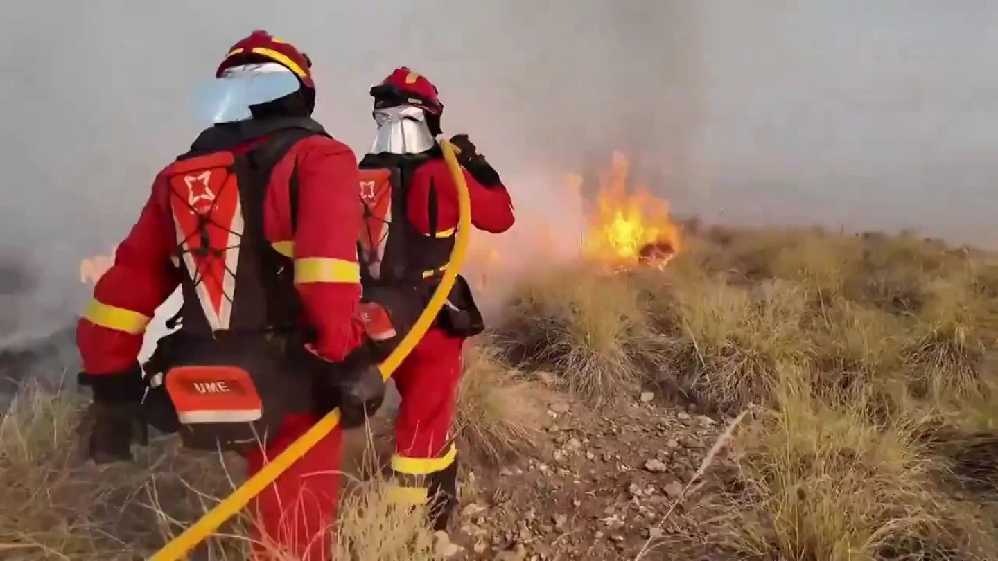 La UME despliega más de 200 efectivos con 70 vehículos "de todo tipo" en la zona del incendio de Los Gallardos (Almería) La UME despliega más de 200 efectivos con 70 vehículos "de todo tipo" en la zona del incendio de Los Gallardos (Almería)
