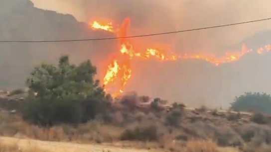 Elevada a fase de emergencia 2 el incendio de Los Gallardos, Almería Elevada a fase de emergencia 2 el incendio de Los Gallardos, Almería