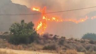 Elevada a fase de emergencia 2 el incendio de Los Gallardos, Almer&iacute;a