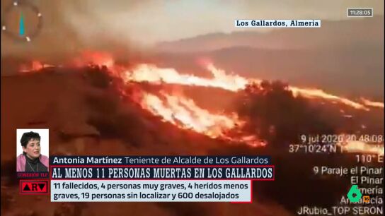 TenienteAlcaldeGallardos
