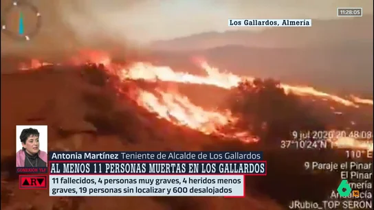 TenienteAlcaldeGallardos TenienteAlcaldeGallardos