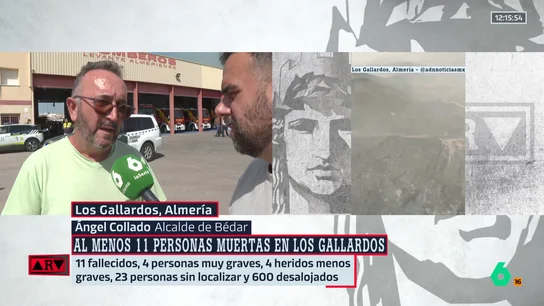 El alcalde de Bédar: "Vivimos mucho más que un infierno; el fuego avanzaba a una velocidad increíble" El alcalde de Bédar: "Vivimos mucho más que un infierno; el fuego avanzaba a una velocidad increíble"
