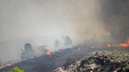 El incendio forestal declarado en Los Gallardos, Almer&iacute;a. 