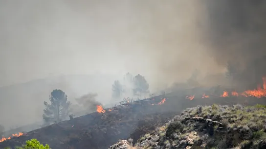 El incendio forestal declarado en Los Gallardos, Almería. El incendio forestal declarado en Los Gallardos, Almería.