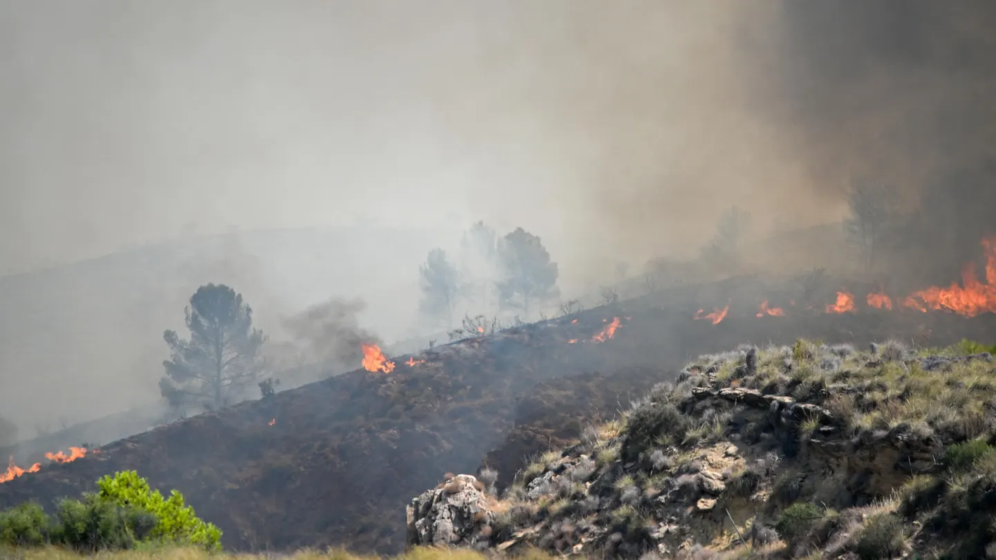 El incendio forestal declarado en Los Gallardos, Almería. El incendio forestal declarado en Los Gallardos, Almería.