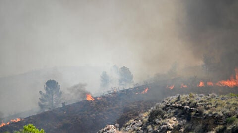 El incendio forestal declarado en Los Gallardos, Almer&iacute;a. 