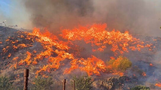 El incendio forestal de Los Gallardos (Almer&iacute;a)
