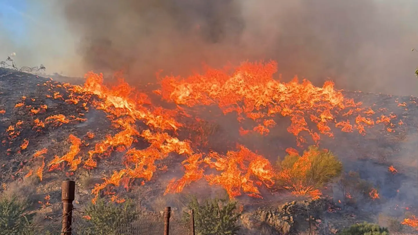 El incendio forestal de Los Gallardos (Almería) El incendio forestal de Los Gallardos (Almería)