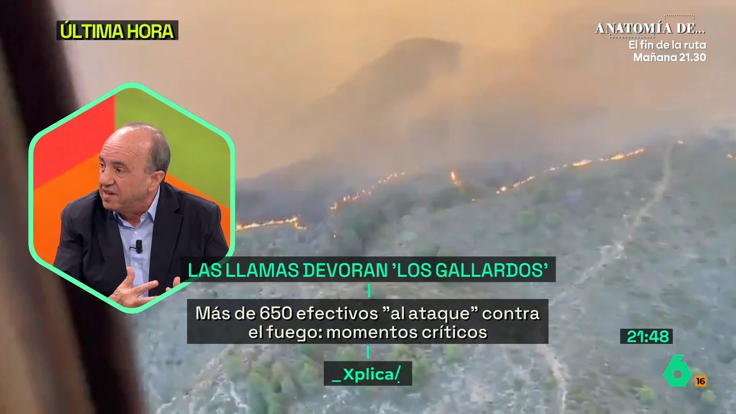 El divulgador José Luis Gallego advierte: "Lo que antes eran gotas frías ahora serán DANAs y lo que antes eran incendios ahora serán megaincendios" El divulgador José Luis Gallego advierte: "Lo que antes eran gotas frías ahora serán DANAs y lo que antes eran incendios ahora serán megaincendios"