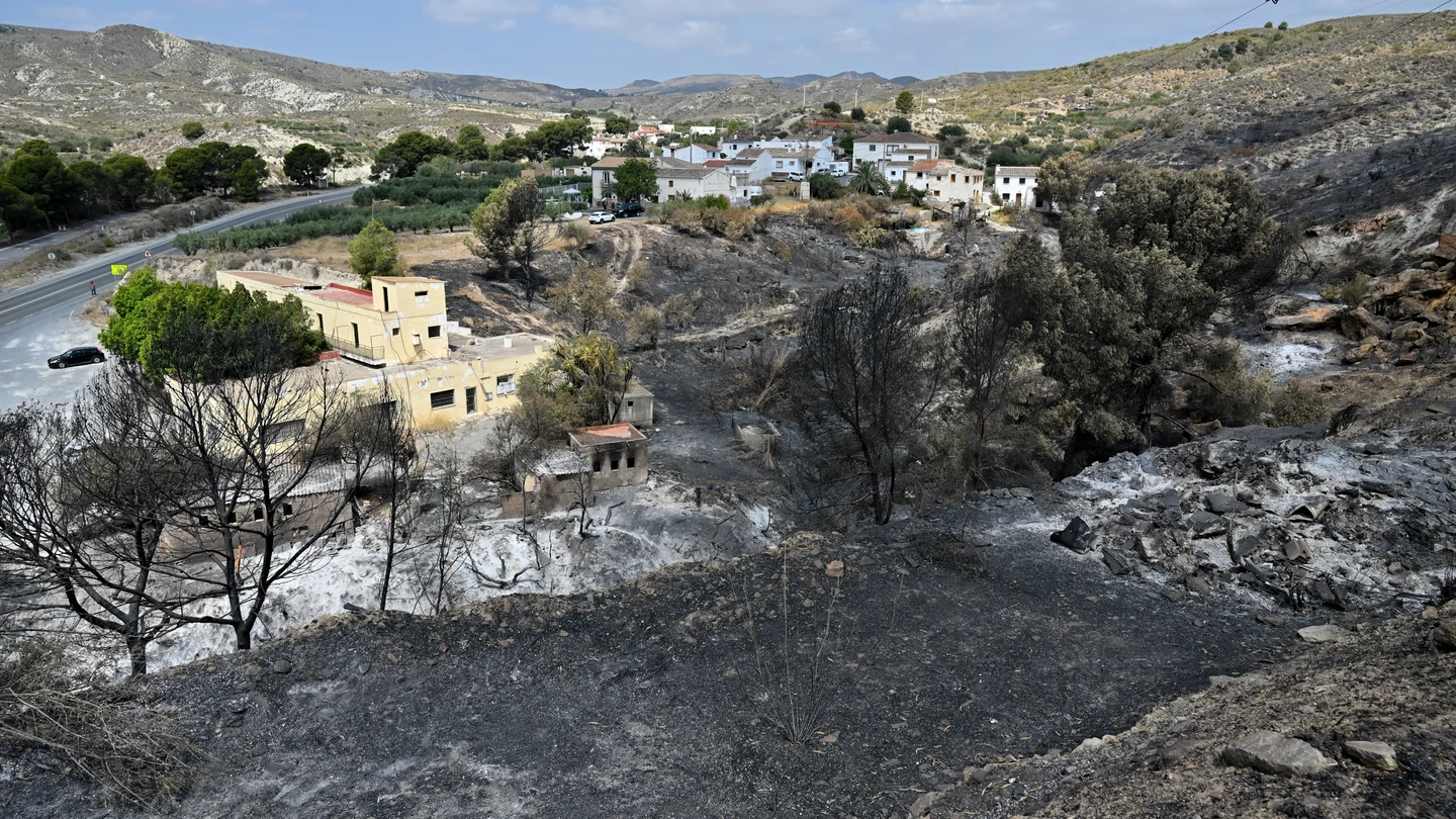 Tereno calcinado junto al restaurante Anita en Los Gallardos (Almería), donde parece ser se produjo el inicio del incendio. Tereno calcinado junto al restaurante Anita en Los Gallardos (Almería), donde parece ser se produjo el inicio del incendio.