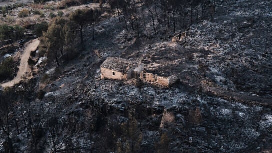 Vista de una zona quemada por el incendio forestal en Bedar, cerca de Almer&iacute;a